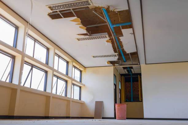 Best Mold removal after water damage  in Havana, IL