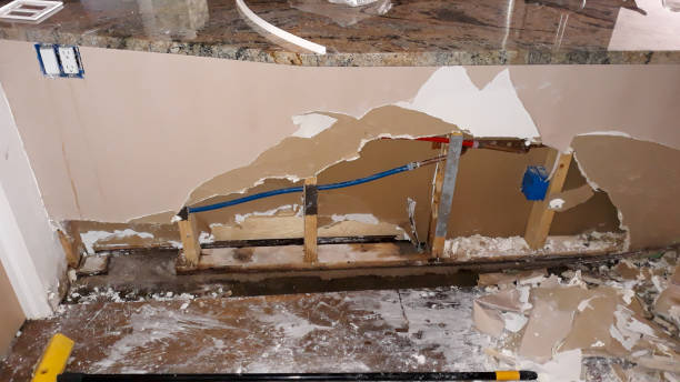 Best Flooded house restoration  in Havana, IL
