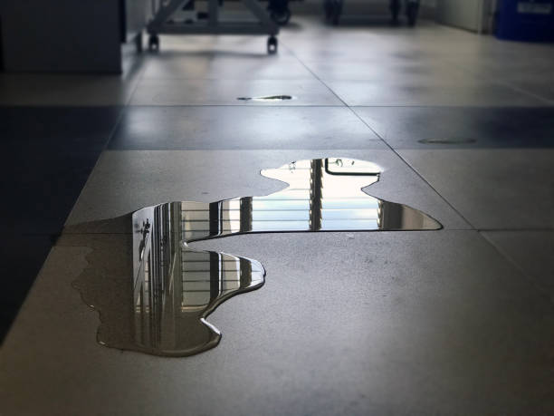 Best Water damage restoration process  in Havana, IL