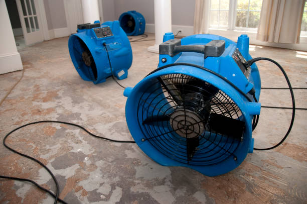 Best Water damage contractors near me  in Havana, IL