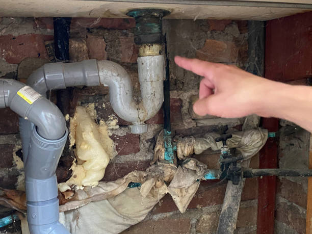 Best Emergency water damage restoration  in Havana, IL